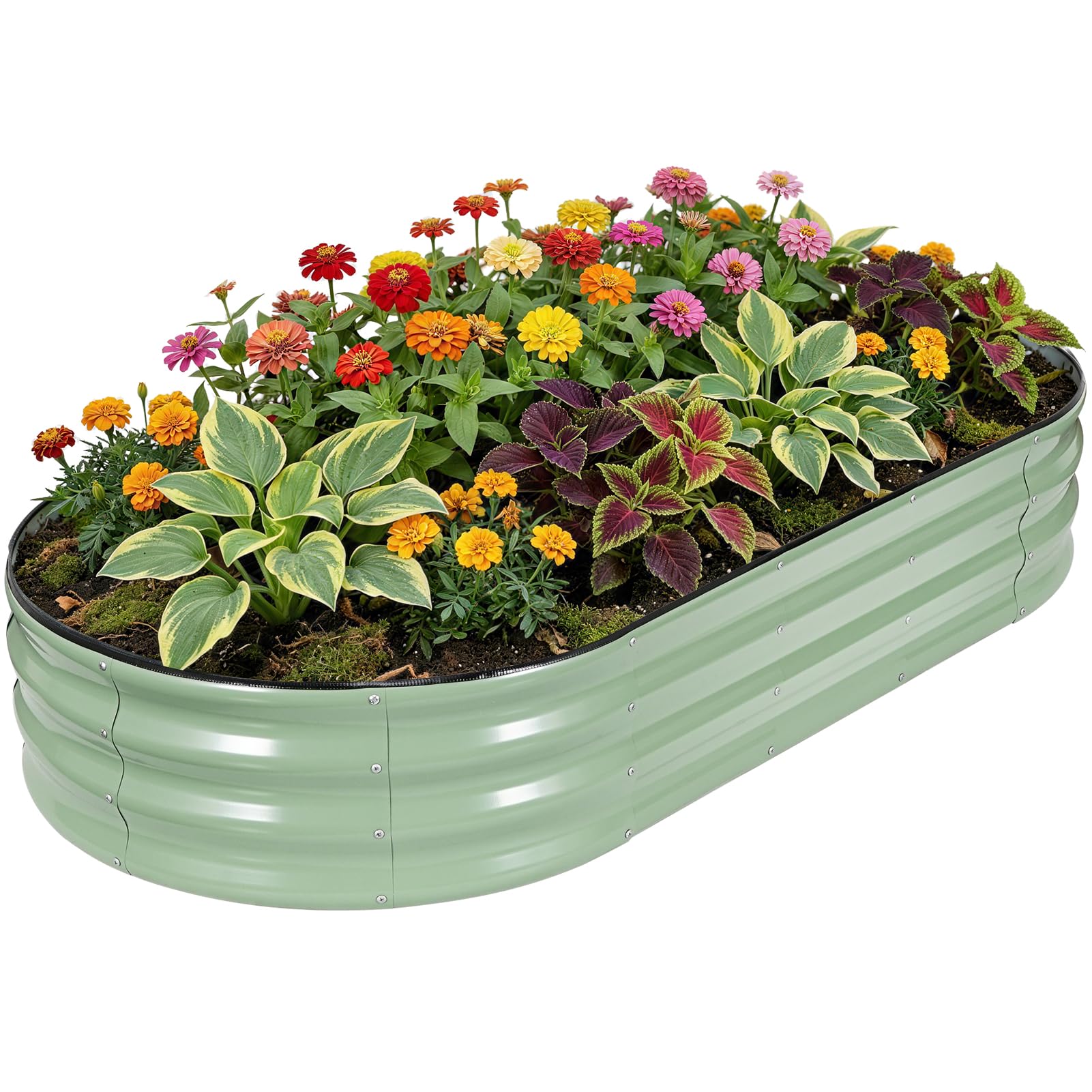 HEALSTOK Galvanized Raised Garden Bed Outdoor, 6x3x1ft Oval Metal Raised Beds for Gardening, Rust-Resistant Garden Planter Box for Planting Vegetables, Flowers, Fruits in Backyard, Lawn(Avocado Green)