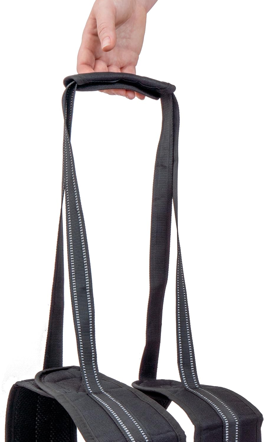 Labra Veterinarian Approved Dog Canine K9 Sling Assist with Chest Strap Adjustable Reflective Straps Support Harness Helps with Loss of Stability Joint Injuries Arthritis ACL Rehabilitation Rehab