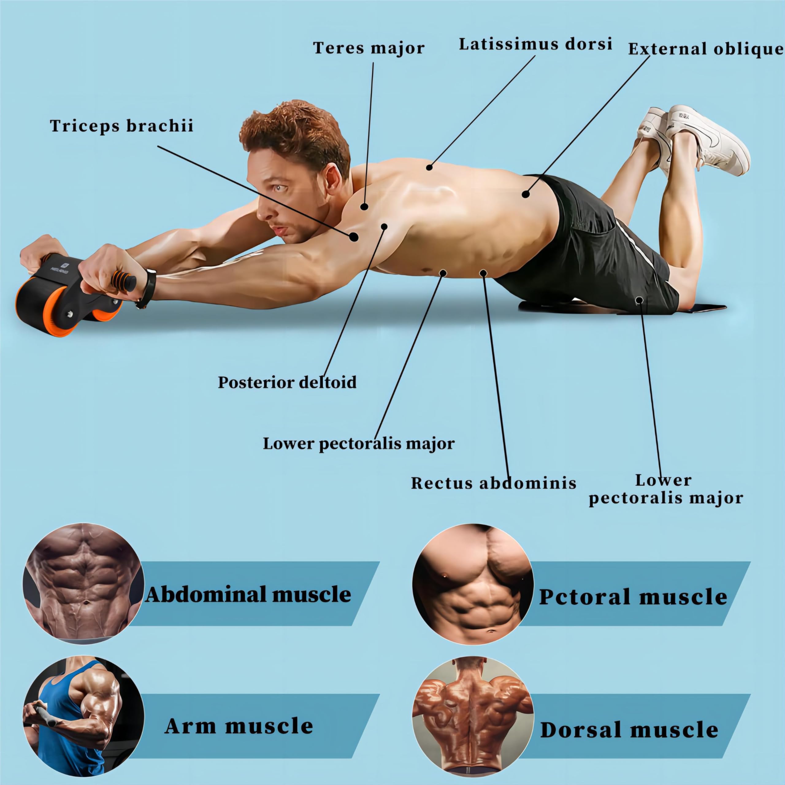 Ab Roller Addominali Migliore Ruota Per Addominali: Esercizi