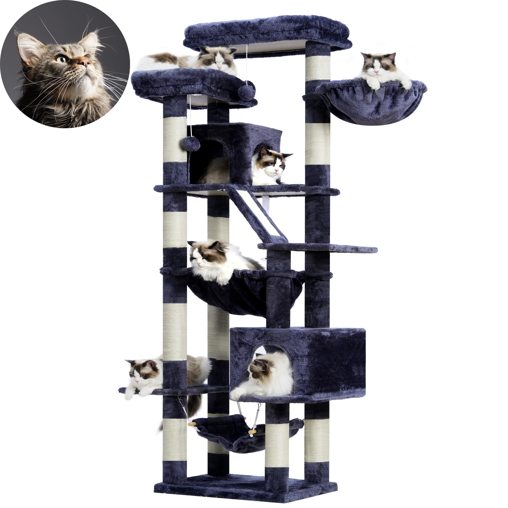 Heybly Albero Per Gatti, Torre 180 cm, 2 Piattaforme, 2 Capanne, 2 Amache, Pannello Per Sgualabocche. Grande Mobile Per Gatti Con Spazio Dormire, Grigio Fumo HCT034G