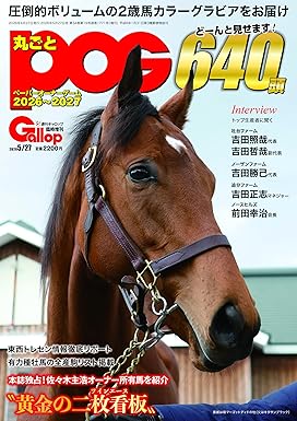 丸ごとＰＯＧ 2026～2027
