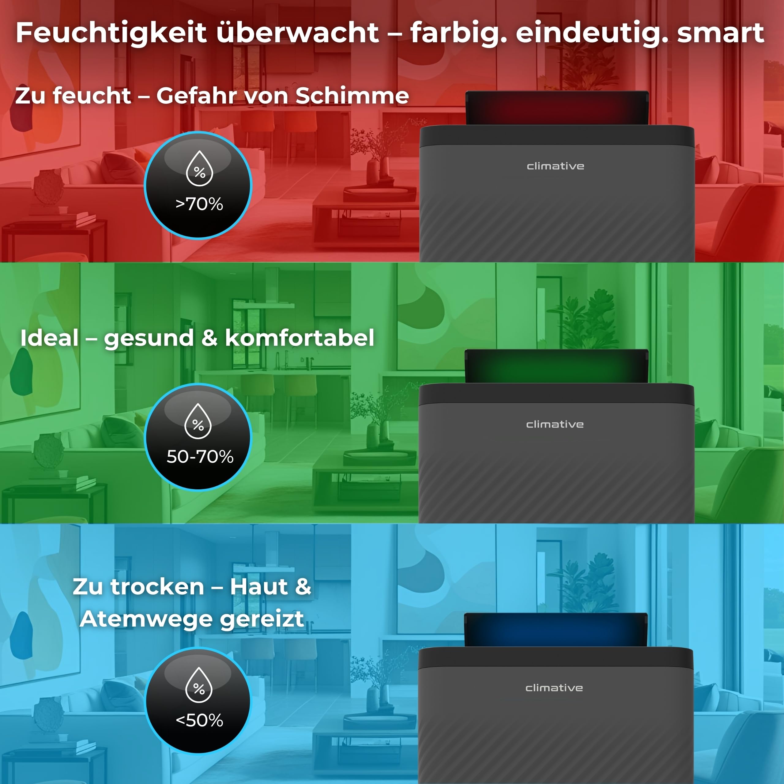 Luftentfeuchter Elektrisch 12L/24h, Air Purifier Nexi ION Grau