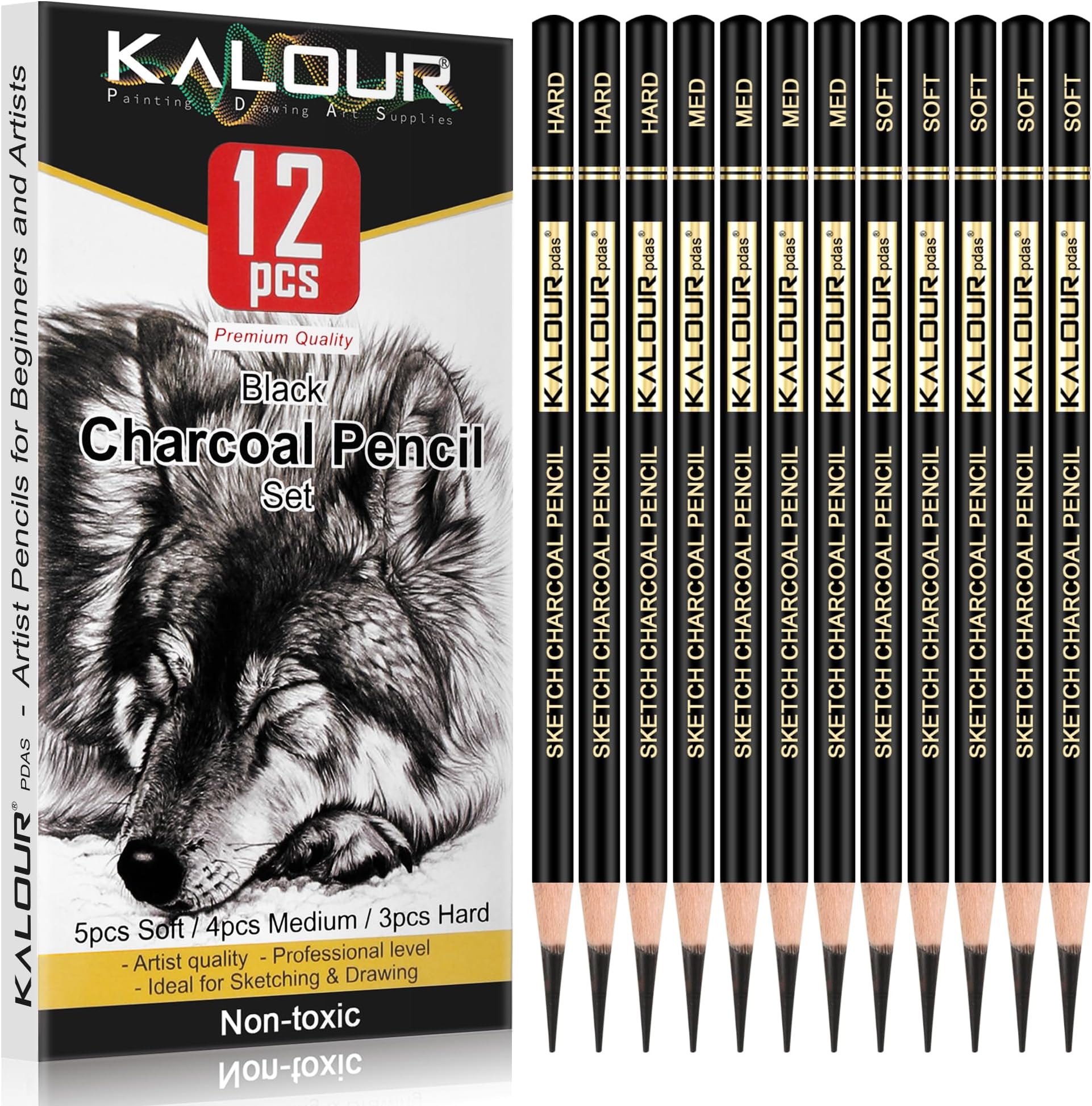 KALOUR Professional Charcoal Pencils Drawing Set -12 Pieces Soft, Medium and Hard Charcoal Pencils for Drawing, Sketching, Shading, Artist Pencils for Beginners & Artists