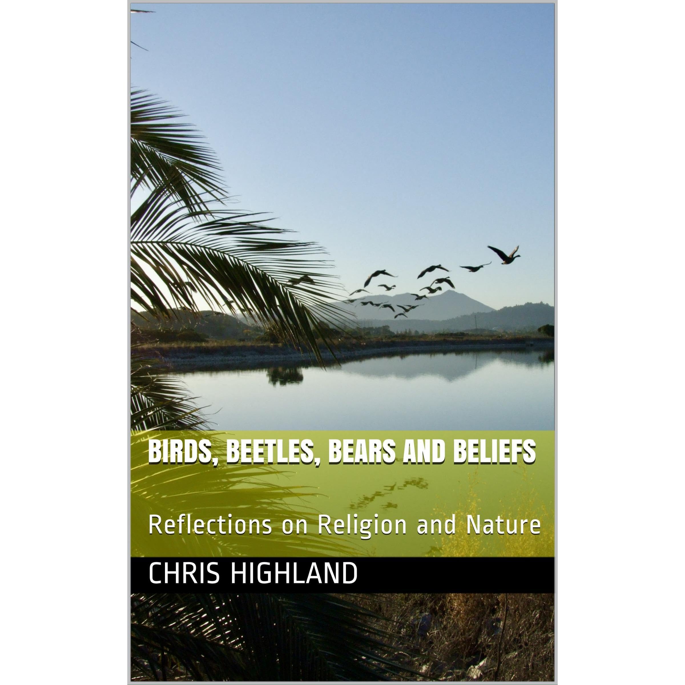 Birds, Beetles, Bears and Beliefs