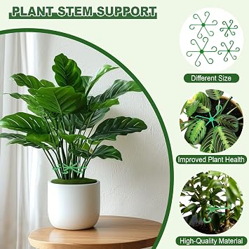 8pcs Plant Stem Support, Plant Support for Indoor Plants, 4 Sizes Climbing Houseplant Stem Holders, Reusable Plant Stabilizer, Indoor Plants Accessories