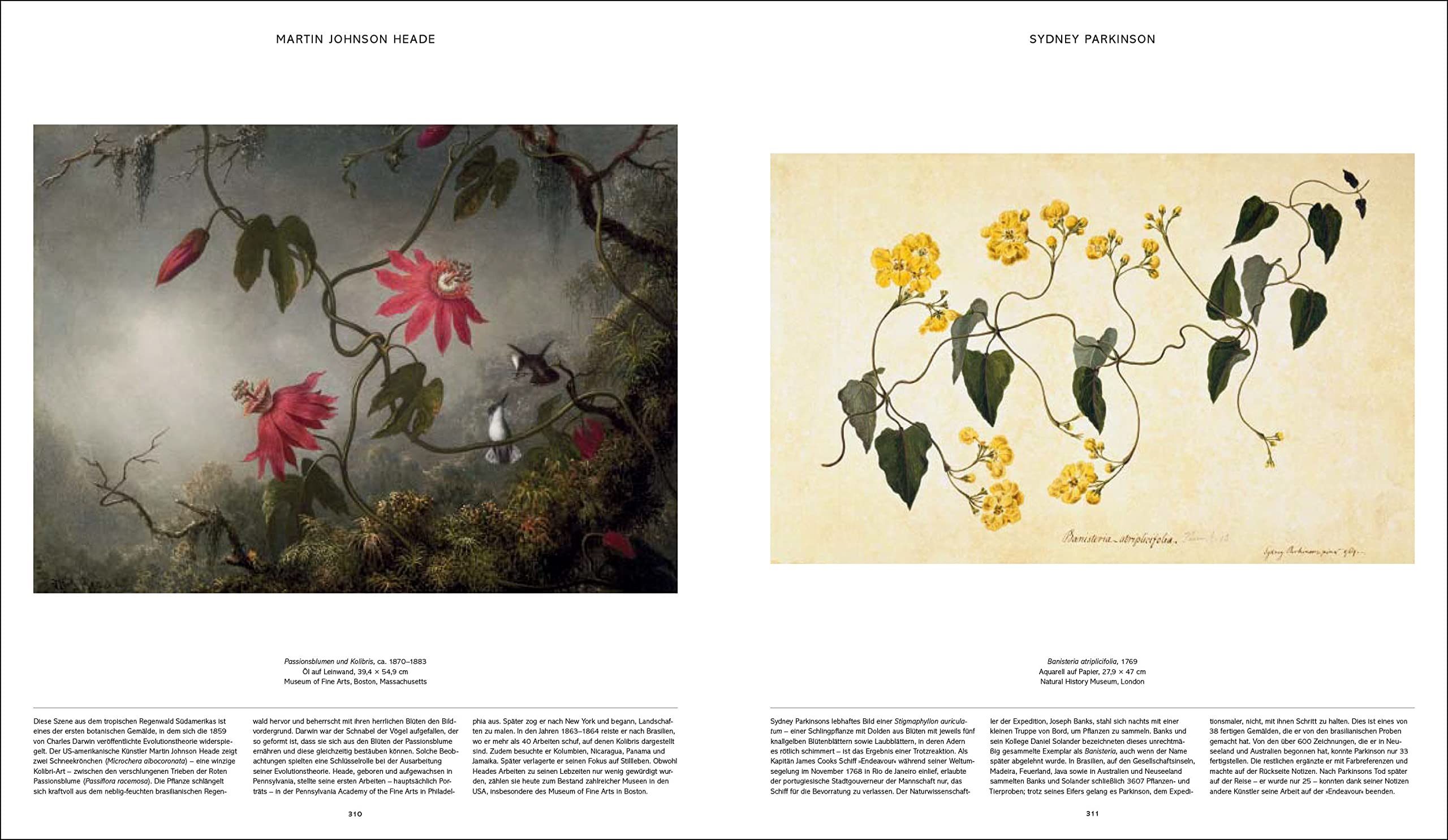 Flora: 3000 Jahre Pflanzendarstellung in der Kunst