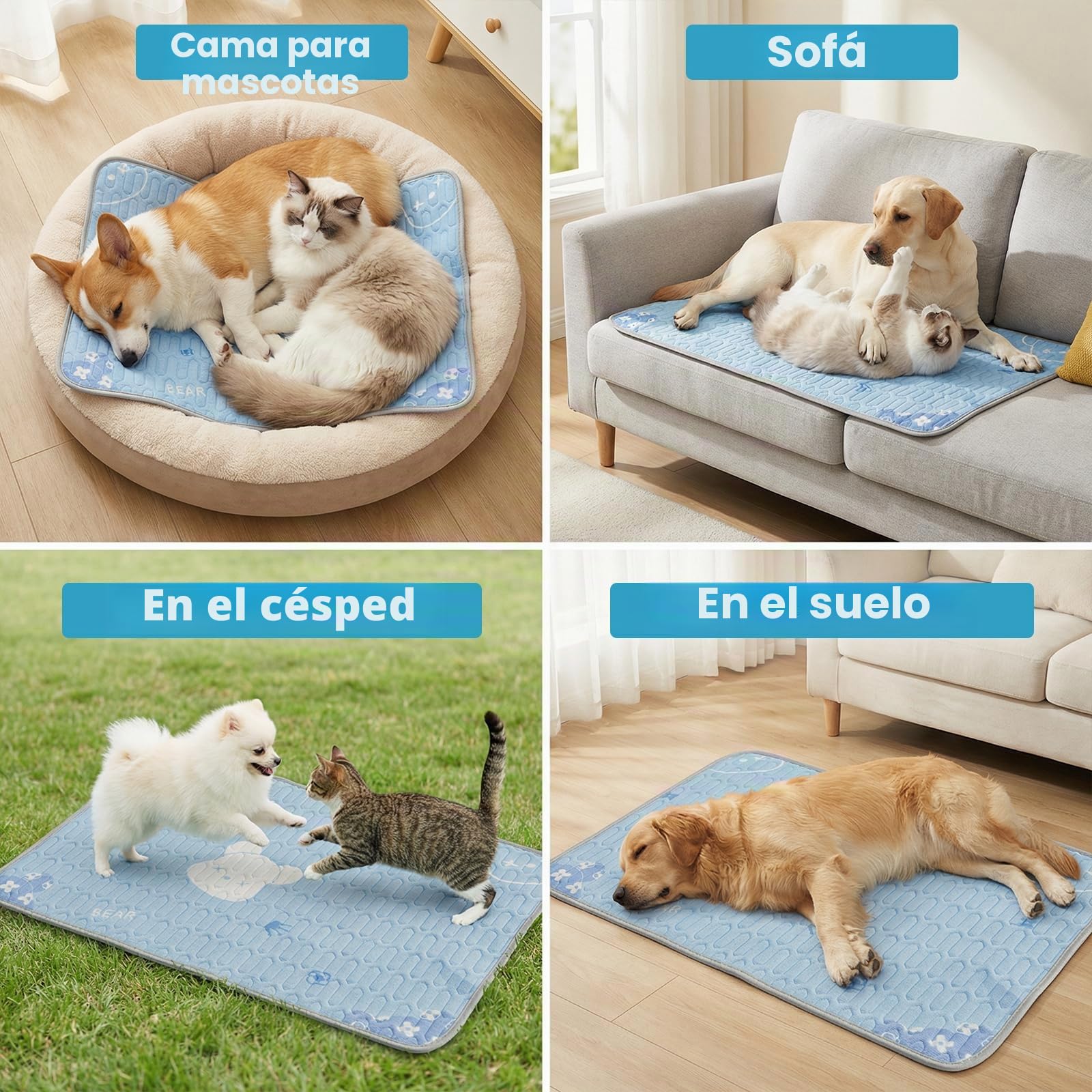 Qoosea Alfombra Refrescante para Perros 50x70cm, Lavable a Máquina - Diseño Osito Azul, Colchón en Tela de Seda Helada & Relleno de Látex, con Puntos Antideslizantes, para Casa y Coche