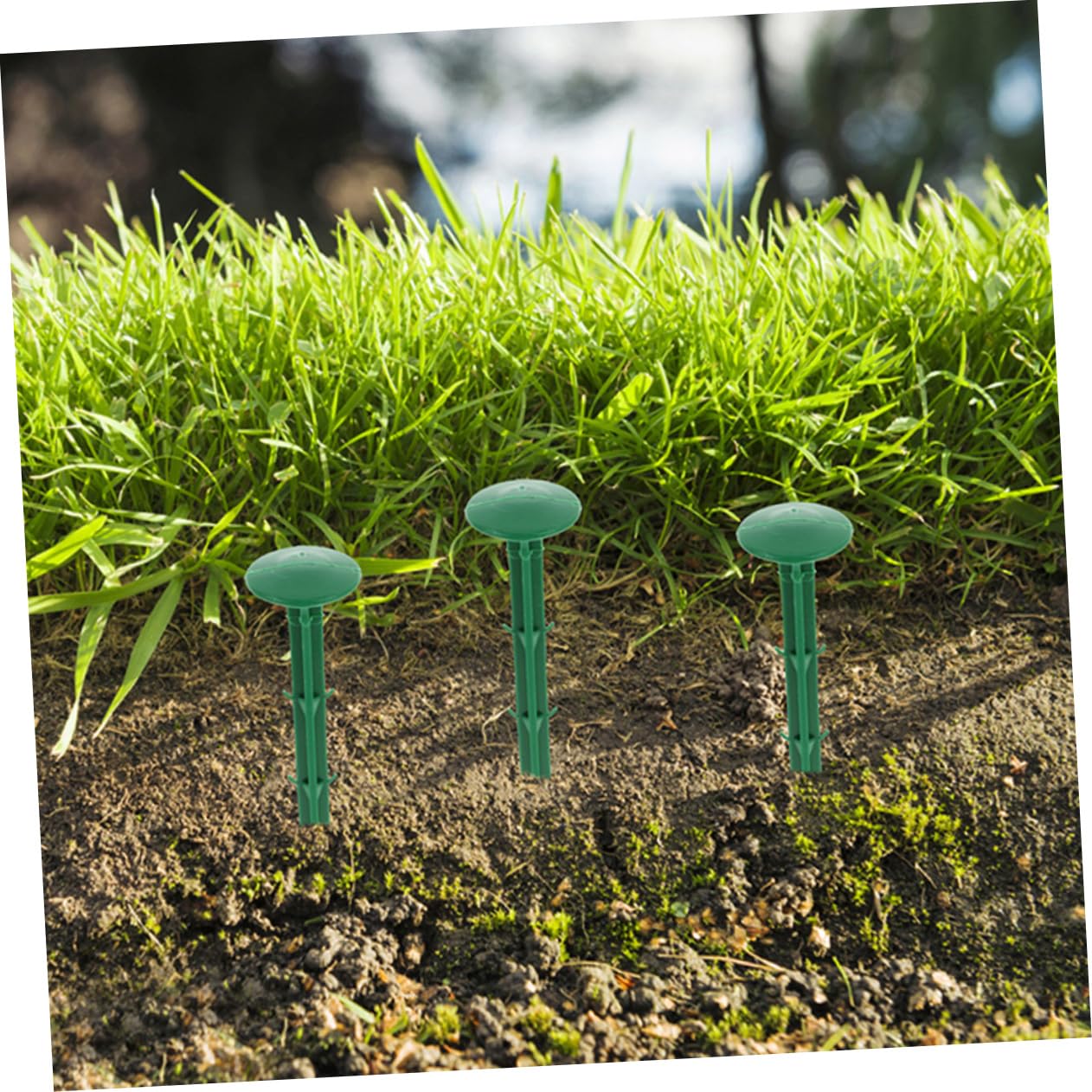 Piquets de Sol en Plastique Vert 150 Pièces pour Jardin