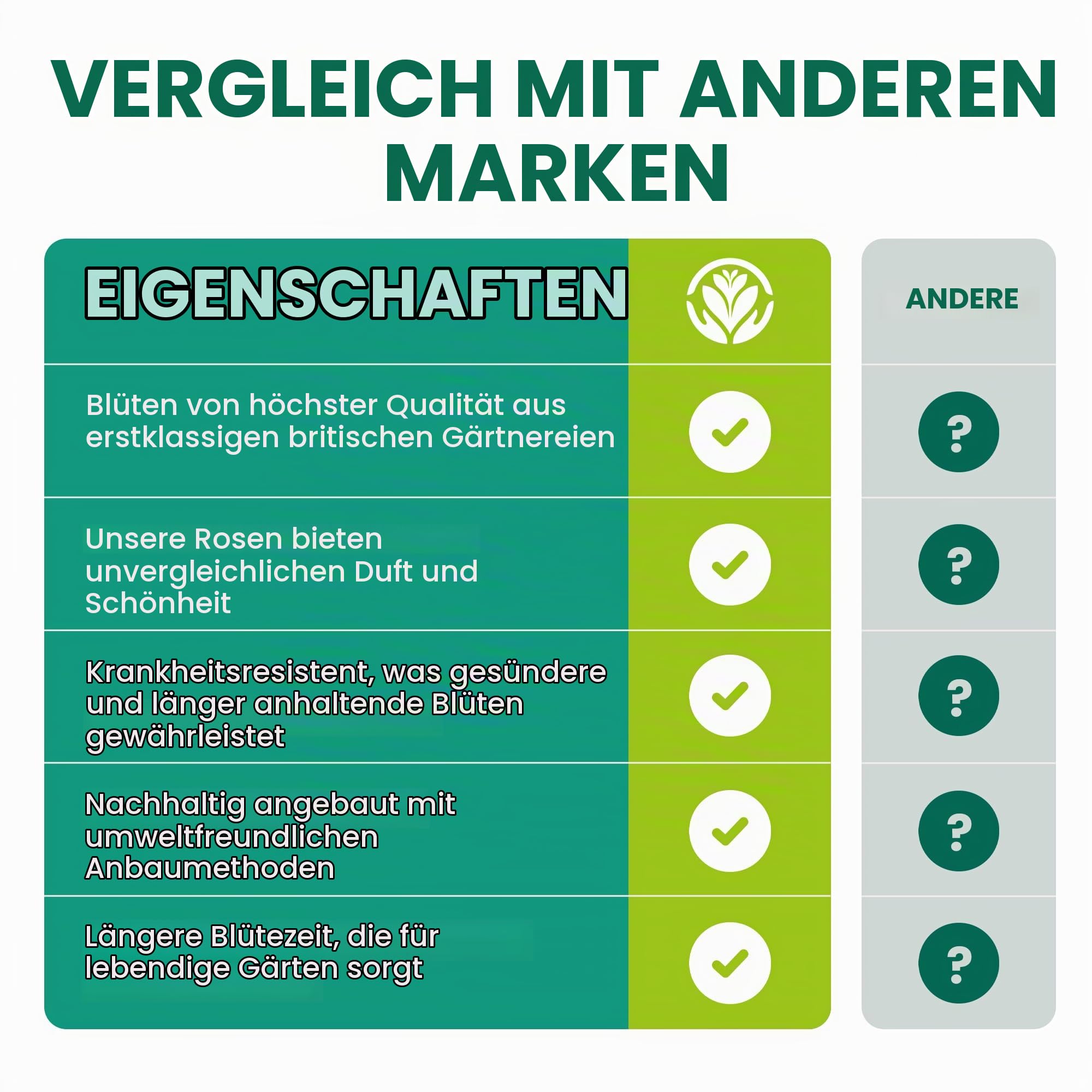 Rot Standardstamm Bunte Rosenpflanzen für den Außenbereich, blühende Gartenrosen in Pflanzgefäßen (120-140cm)
