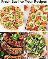 Vista 6 de Hydroponics - Vaina de semillas con albahaca genovesa y albahaca morada, kit completo de 8 cápsulas con esponja, canasta, cúpula, etiqueta