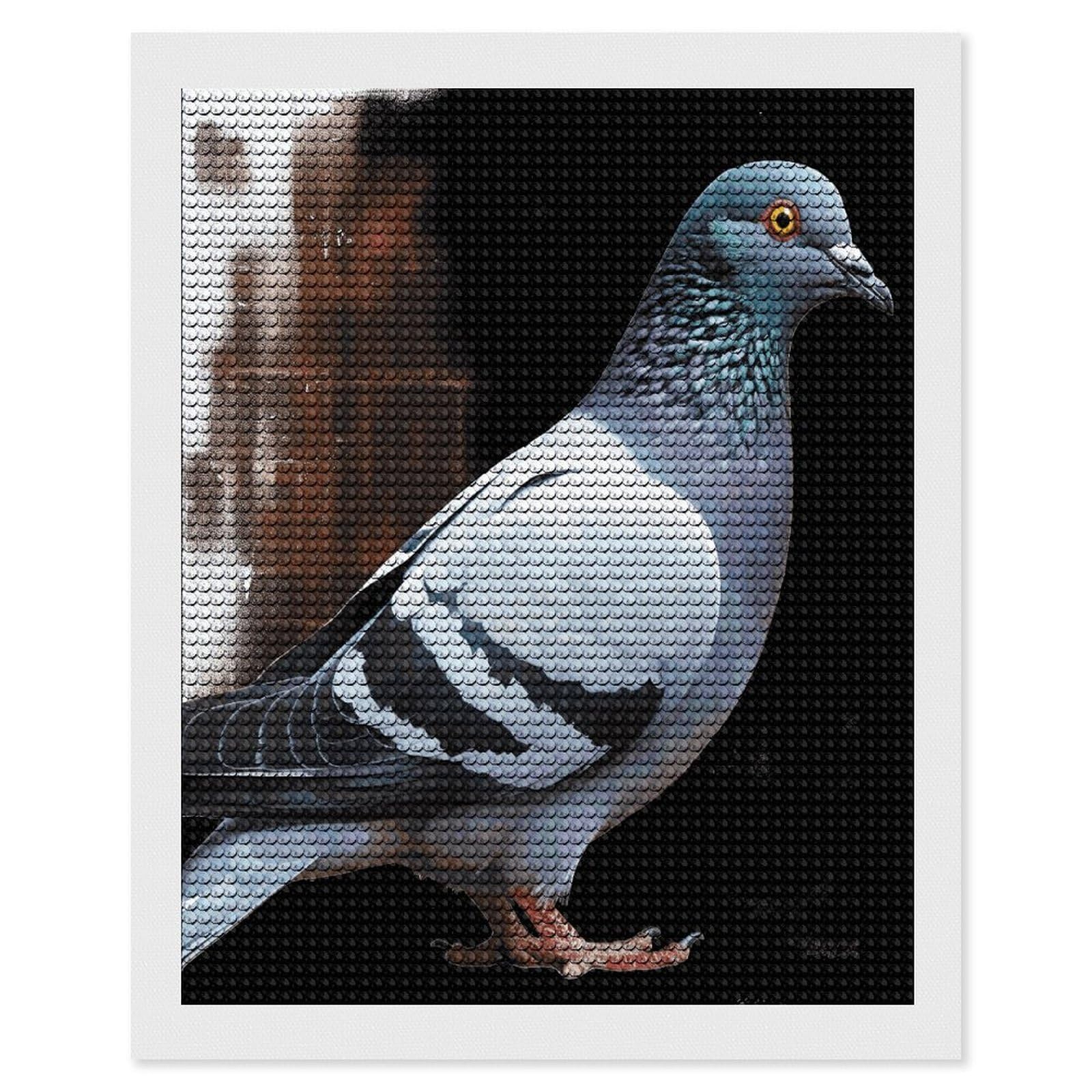 JTREHY Pigeon Diamond Art Kits Personalized DIY Round Diamond Painting Kits for Beginner Full Drill Diamonds Dots Paintings for Adults Gem Art Crafts Home Decor