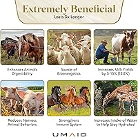 Vista 6 de UMAID Sal lamer del Himalaya de 6 libras en cuerda para caballos, ciervos, cabras, vacas, ovejas, vacas, alpacas y ganado – Golosinas minerales