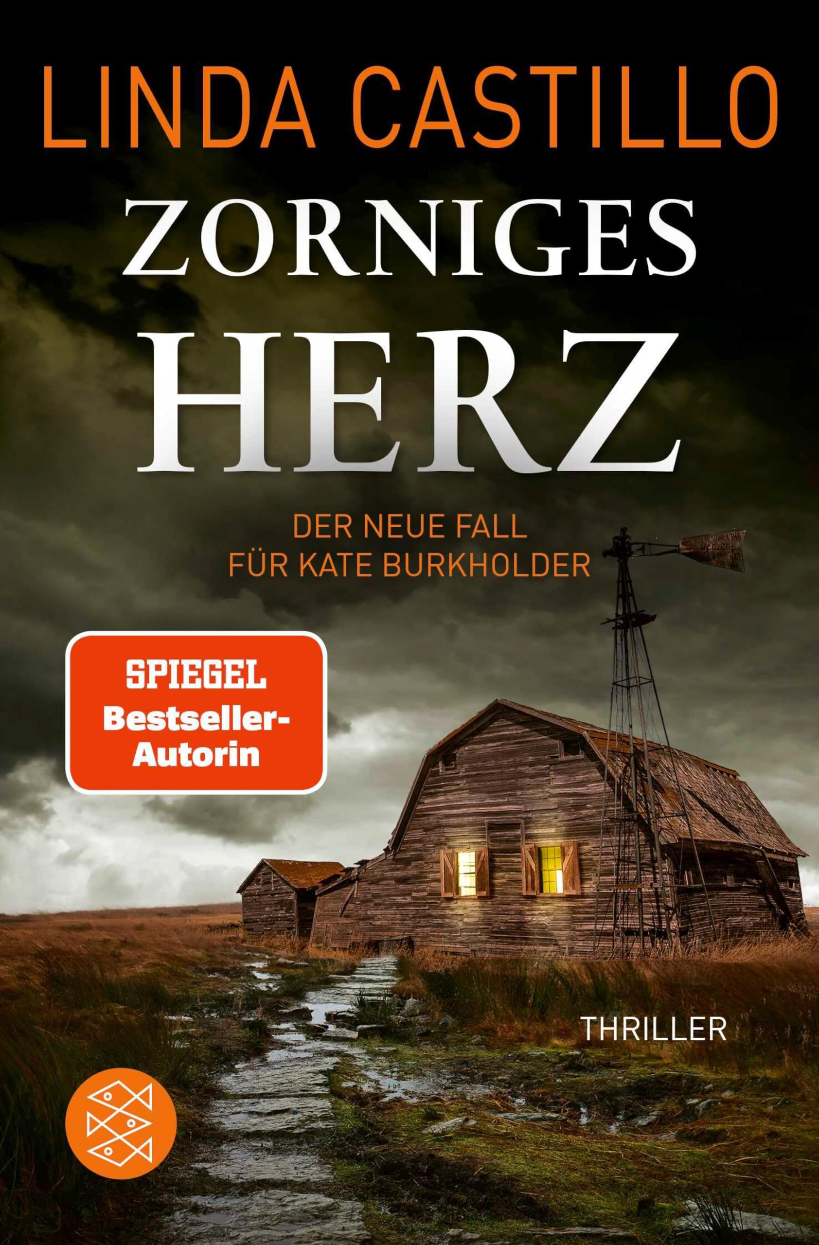 Zorniges Herz: Thriller | Spannender Thriller bei den Amischen (Kate Burkholder ermittelt 15)