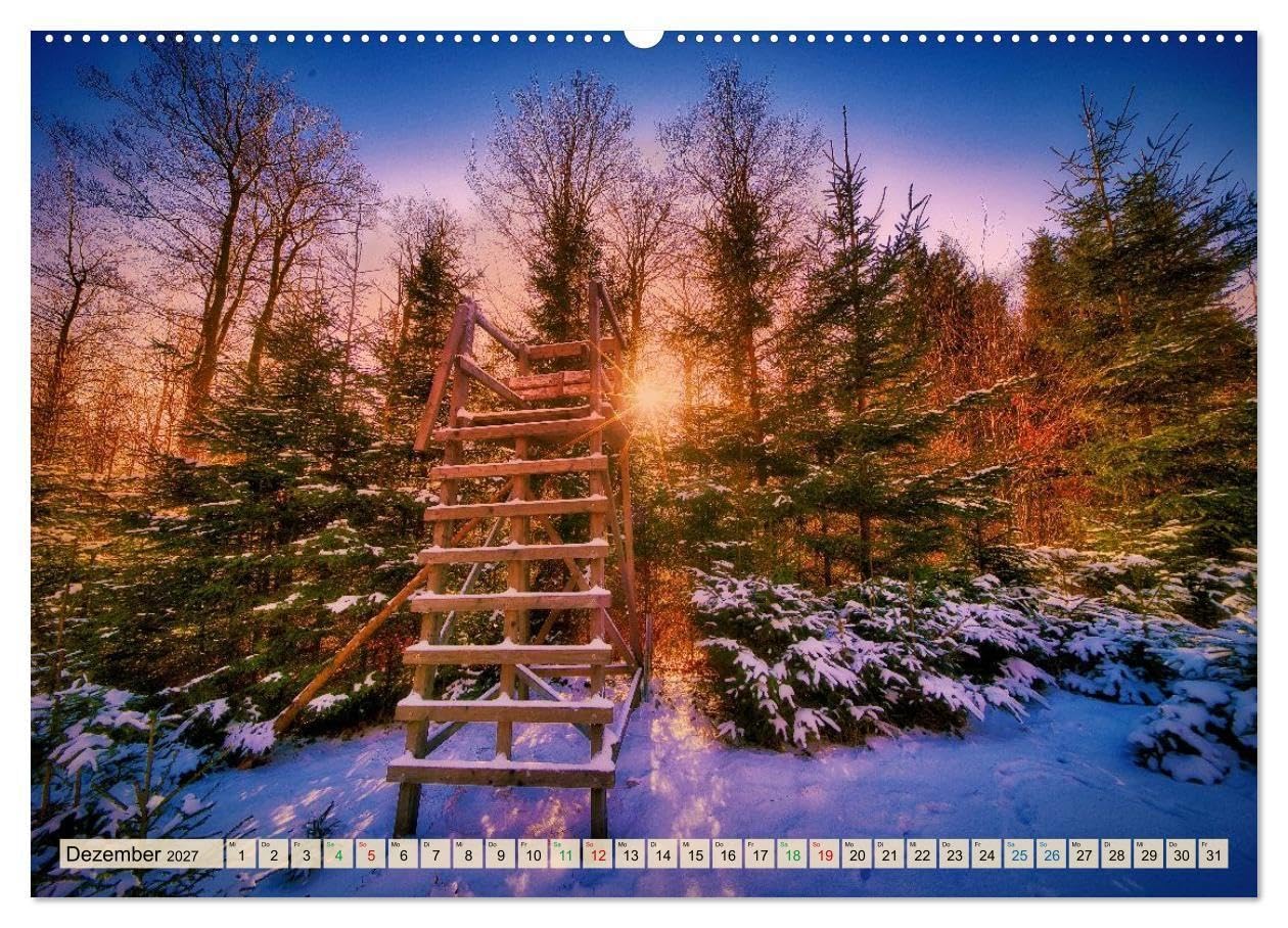 Thüringen nach dem Baumsterben (hochwertiger Premium Wandkalender 2027 DIN A2 quer), Kunstdruck in Hochglanz: Junges Grün, klare Horizonte und ein ... die Landschaft Thüringens. (CALVENDO Natur)