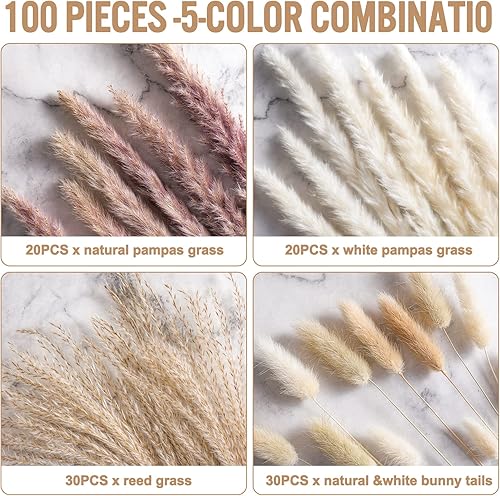 Miniatura 3 de 100 piezas de decoración de hierba de pampa seca hierba de pampa blanca hierba de pampa natural hierba de caña y colas de conejo secas para