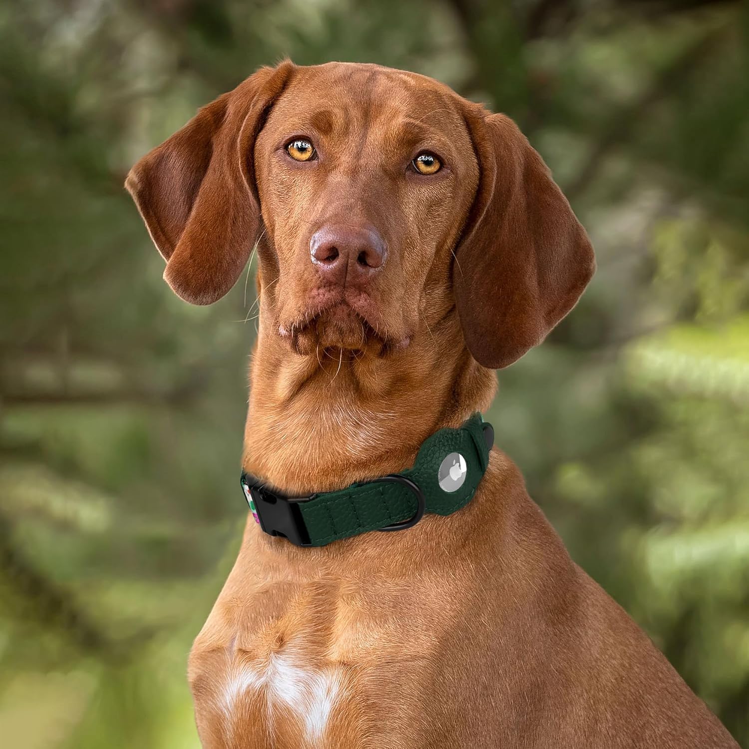 AirTag Dog Collar with Metal Buckle - Printed Nylon Soft Leather Dog Collar with Apple AirTag Holder - Secure Tracking GPS Pet Collars for Girl Boy Small Large Dogs (L, 17"-21" Neck Fit, Floral)
