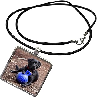 3dRose Black Labrador Retriever Pet Photo Dog Poses Favorite... - Necklace With Pendant (ncl_322721_1)