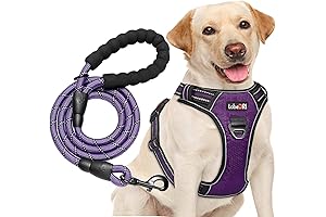 Rabbitgoo Dog Harness and Leash Set - Ultimate Comfort and Control for Your Furry Friend