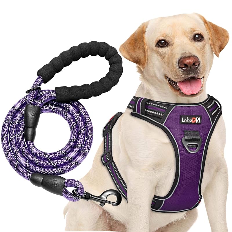 Peitoral para cães tipo cabresto tobeDRI em Oxford refletivo com guia de 1,52 m, Roxo, Grande (L)