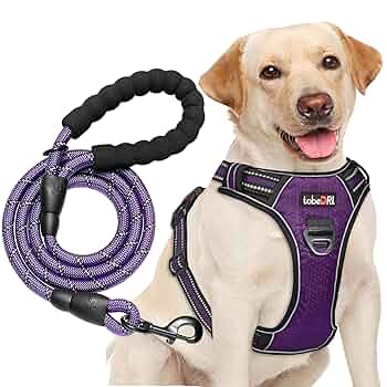 NEIGHBORHOOD DOG HARNESS ブラック Mサイズ Dog-Harness---Black-241MTNH-