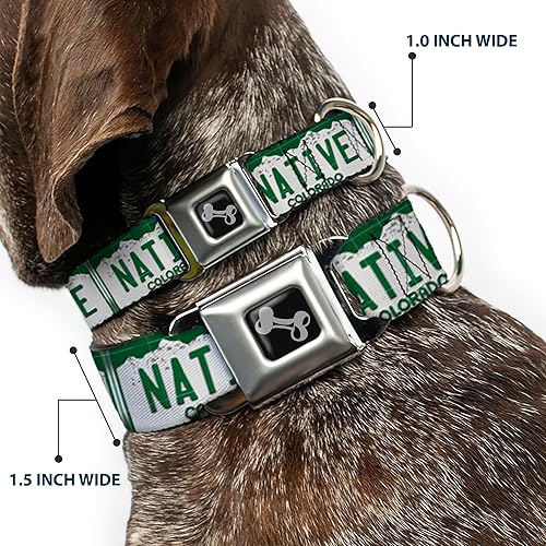 Miniatura 2 de Buckle-Down Collar de perro con hebilla para cinturón de seguridad, placa de matrícula de Colorado, 1 pulgada de ancho, se adapta a cuello de 15 a