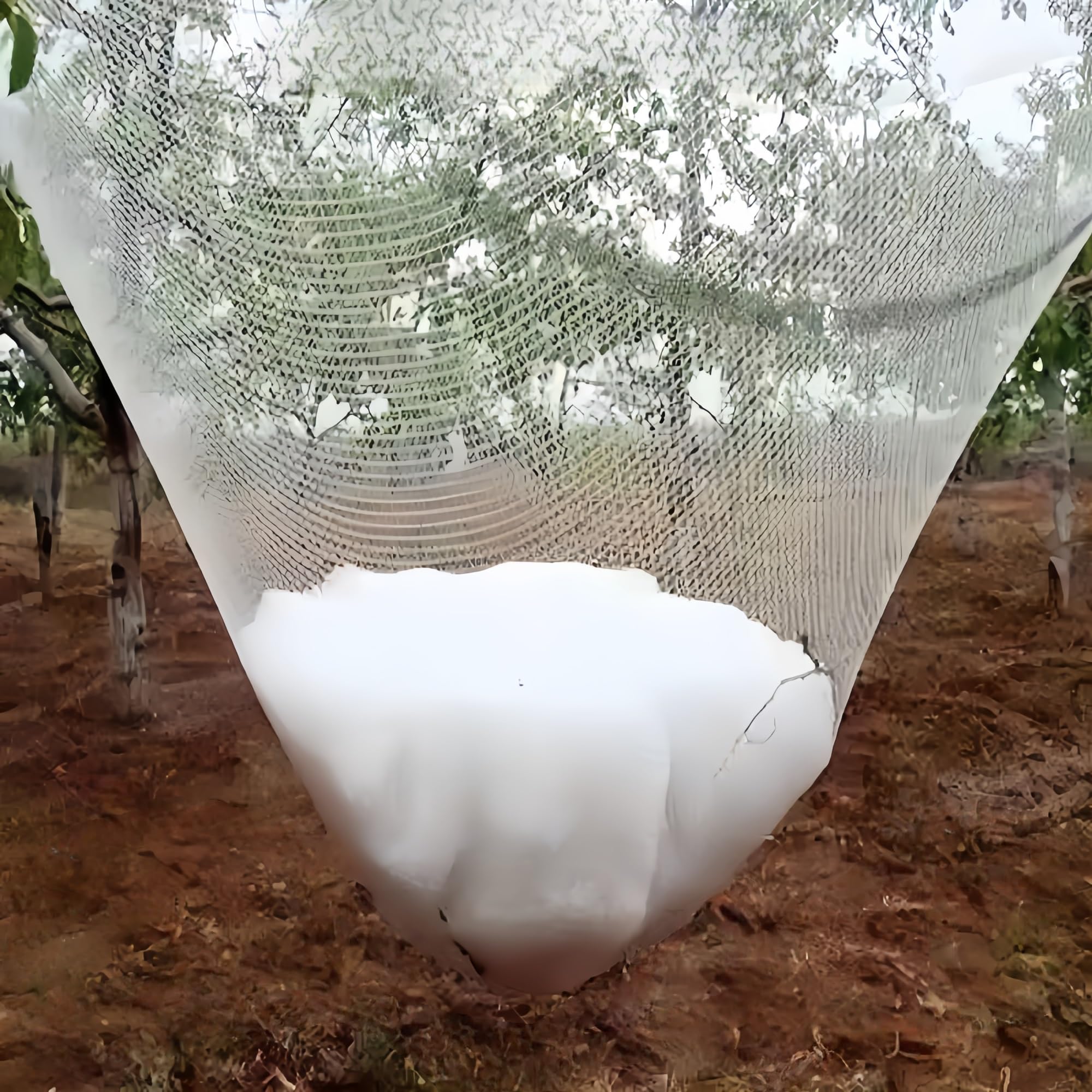 Rete Antigrandine Alta Portata Fili Rinforzati, Resistente allo Strappo Raggi UV Telo Antigrandine, Maglia da 5 mm Rete Anti Uccelli per Frutta e Verdura, Giardini, Piante, Anti-Uccelli(1 x 50m)