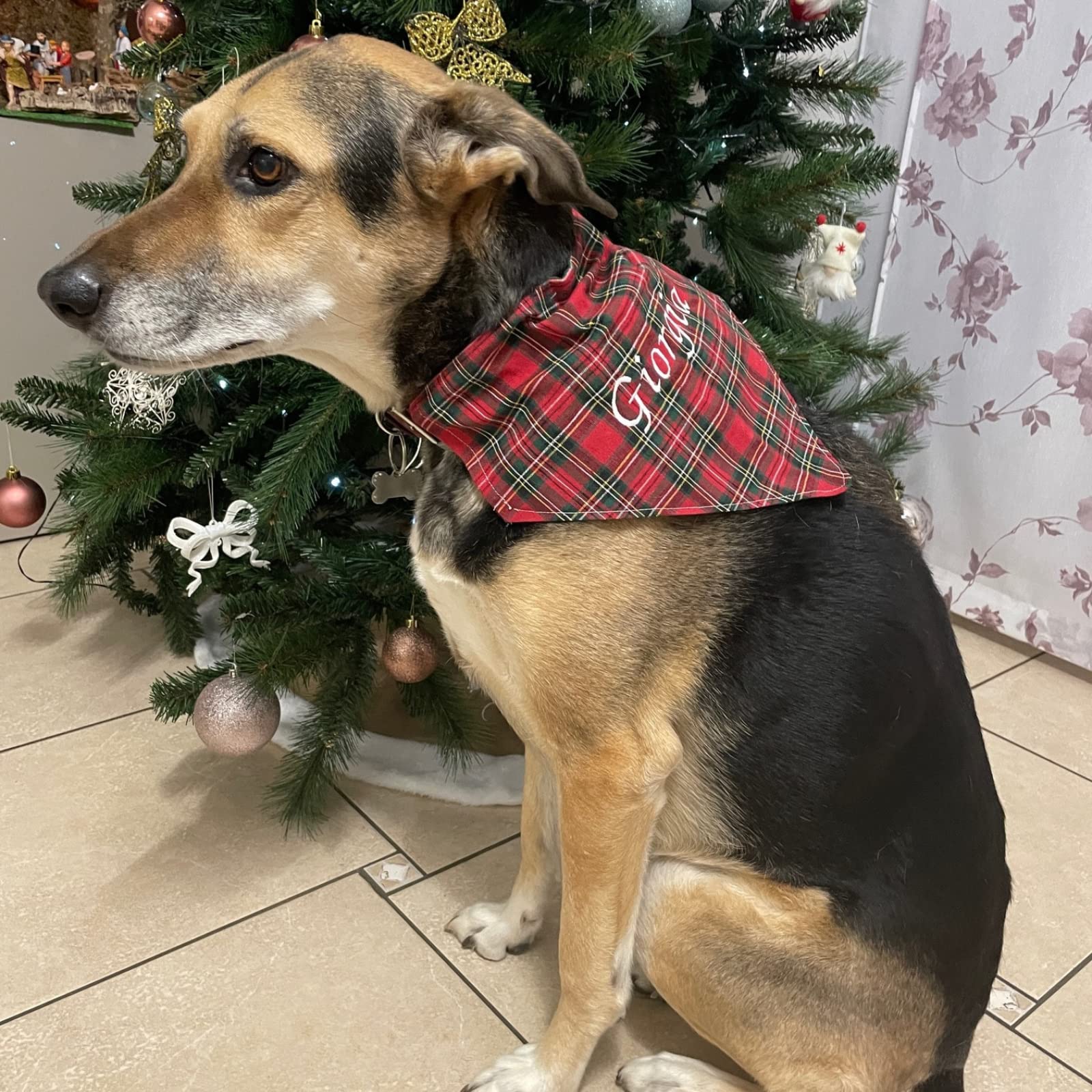Bandana per cani Personalizzata; Bandana Cani; Amici a quattro zampe; Accessori per cani e gatti