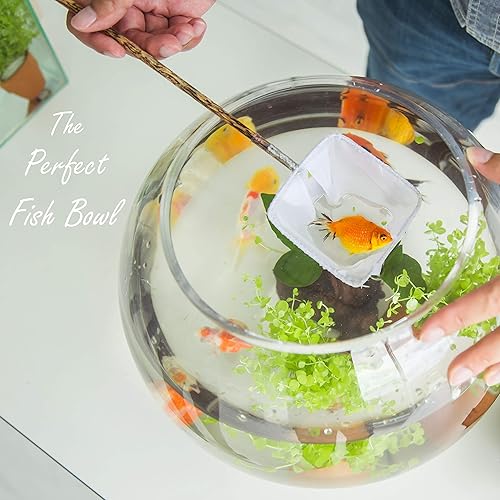 Miniatura 9 de CYS EXCEL Tazón grande de burbujas de vidrio (H-13.5 pulgadas de ancho 15.25 pulgadas, aproximadamente 9 galones)  Florero de cuenco de pescado de