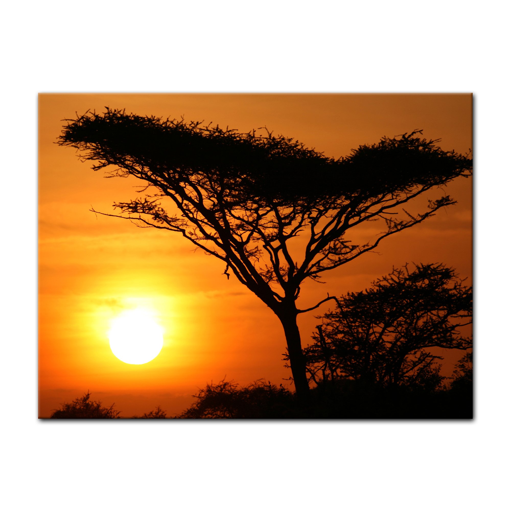 Bilderdepot24 Bild auf Leinwand | Akazienbaum im Sonnenuntergang, Tanzania Serengeti Afrika in 80x60 cm als Wandbild | Wand-deko Dekoration Wohnung modern Bilder | 170315