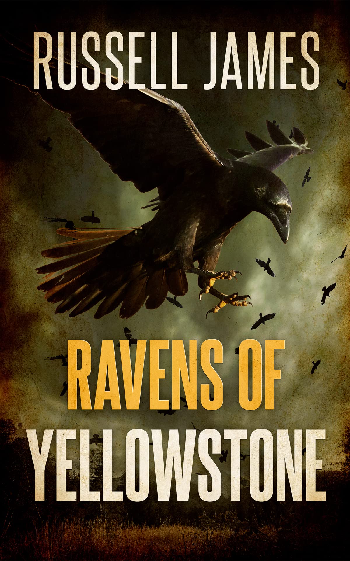 Ravens Of Yellowstone (A Kathy West National Park Adventure Book 3)
