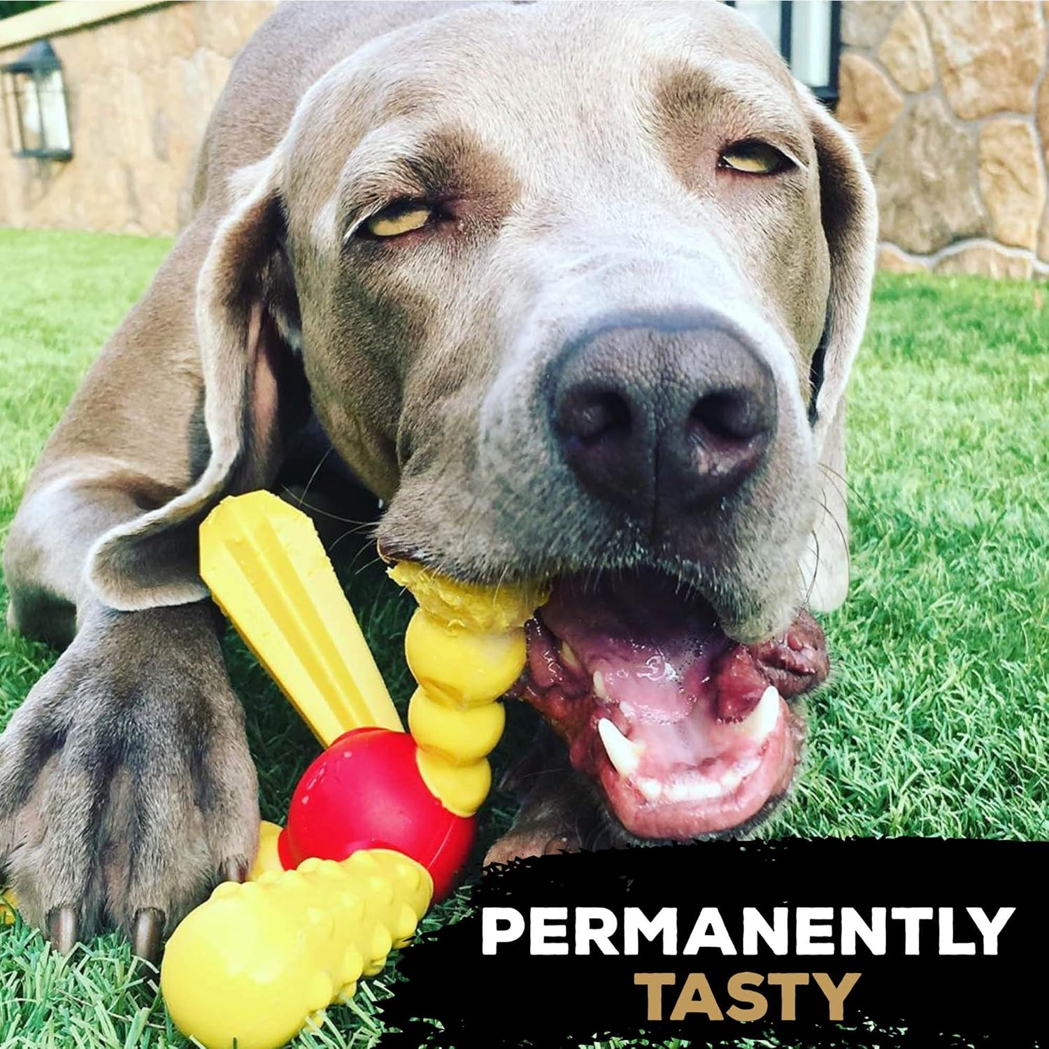 81WX3o2W93L. AC SL1500