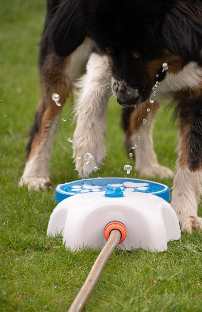 Foto 4 de 5 de Coolpets Suministros Para El Cuidado De La Salud Splash Fountain