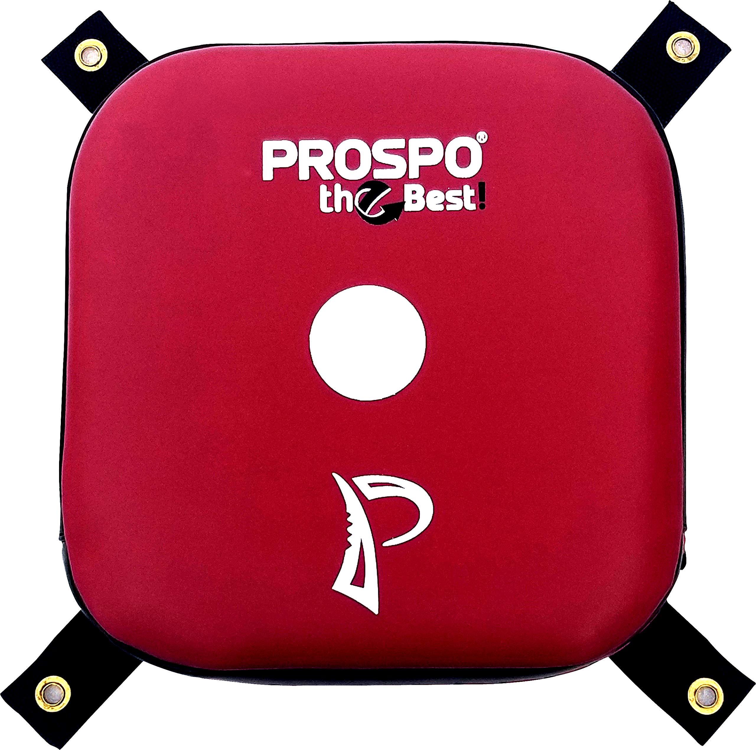 PROSPO Square Target PAD (Red) for Solid Wall Pad Target Taekwondo Square Foam Boxing Wall Punching of Karate, Martial Art, Thai, MMA,UFC