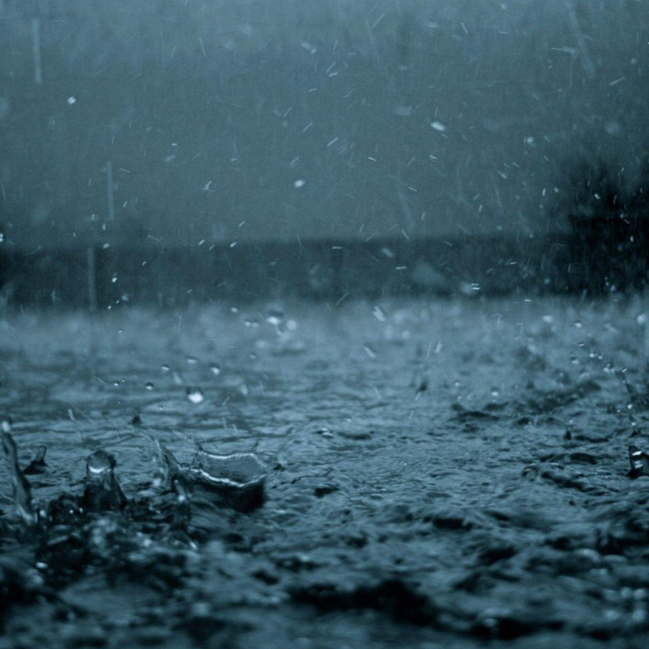 Rain sounds to sleep or study peacefully l Som de chuva para você dormir ou estudar tranquilamente.