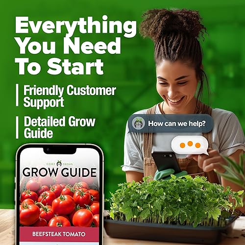 Miniatura 9 de HOME GROWN Beefsteak - Paquete de semillas de tomate  300 semillas de tomate tradicionales para plantar al aire libre, semillas vegetales sin OMG de