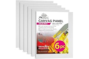 PHOENIX 16x20 Canvas Value Pack - 6 Pack of Premium Painting Canvases
