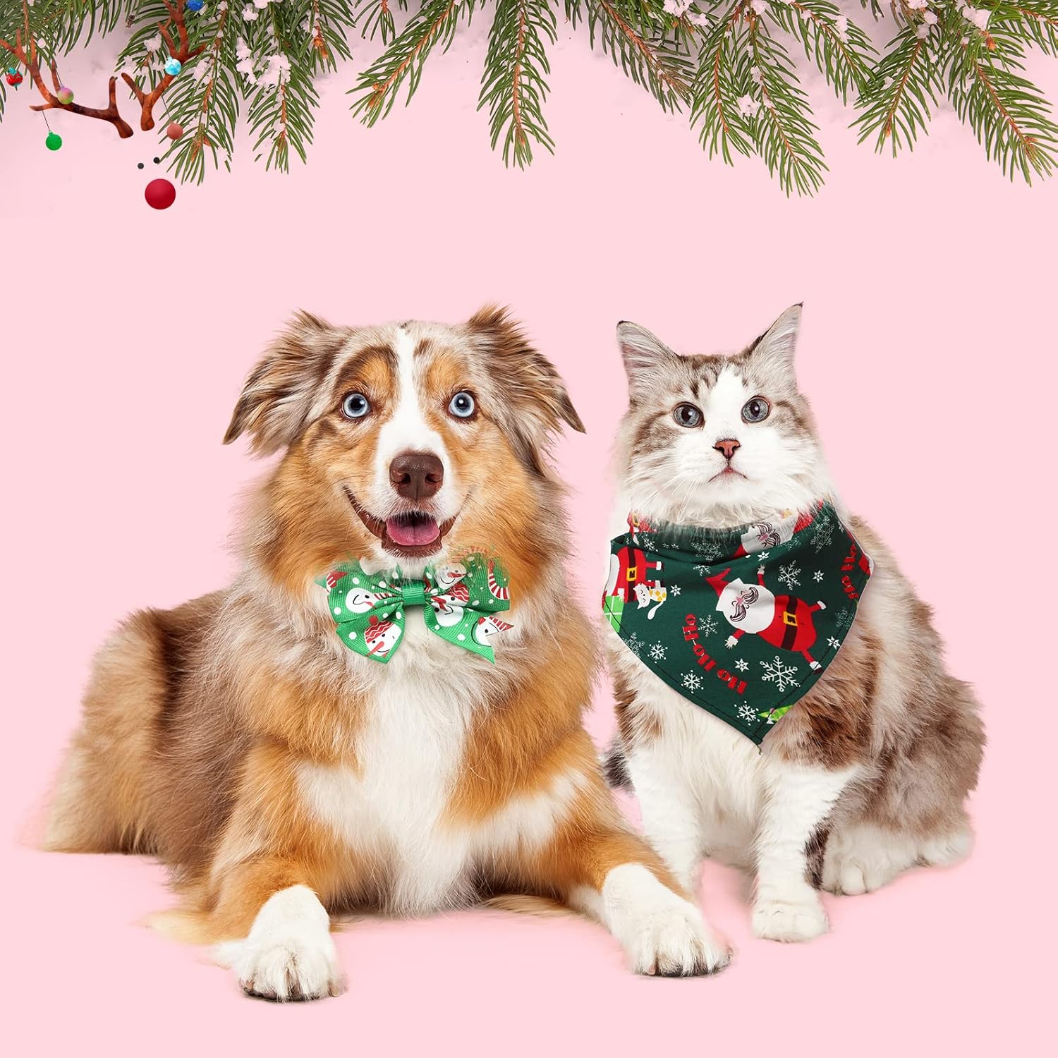 Reginary 85 Pcs Christmas Dog Bow Ties Set, 20 Neckties 9 Flower Puppy Neckties12 Bowknot 4 Bandana Scarf 40 Dog Bow Ties Christmas Grooming Accessories for Holiday Pet Outfit Winter Gift