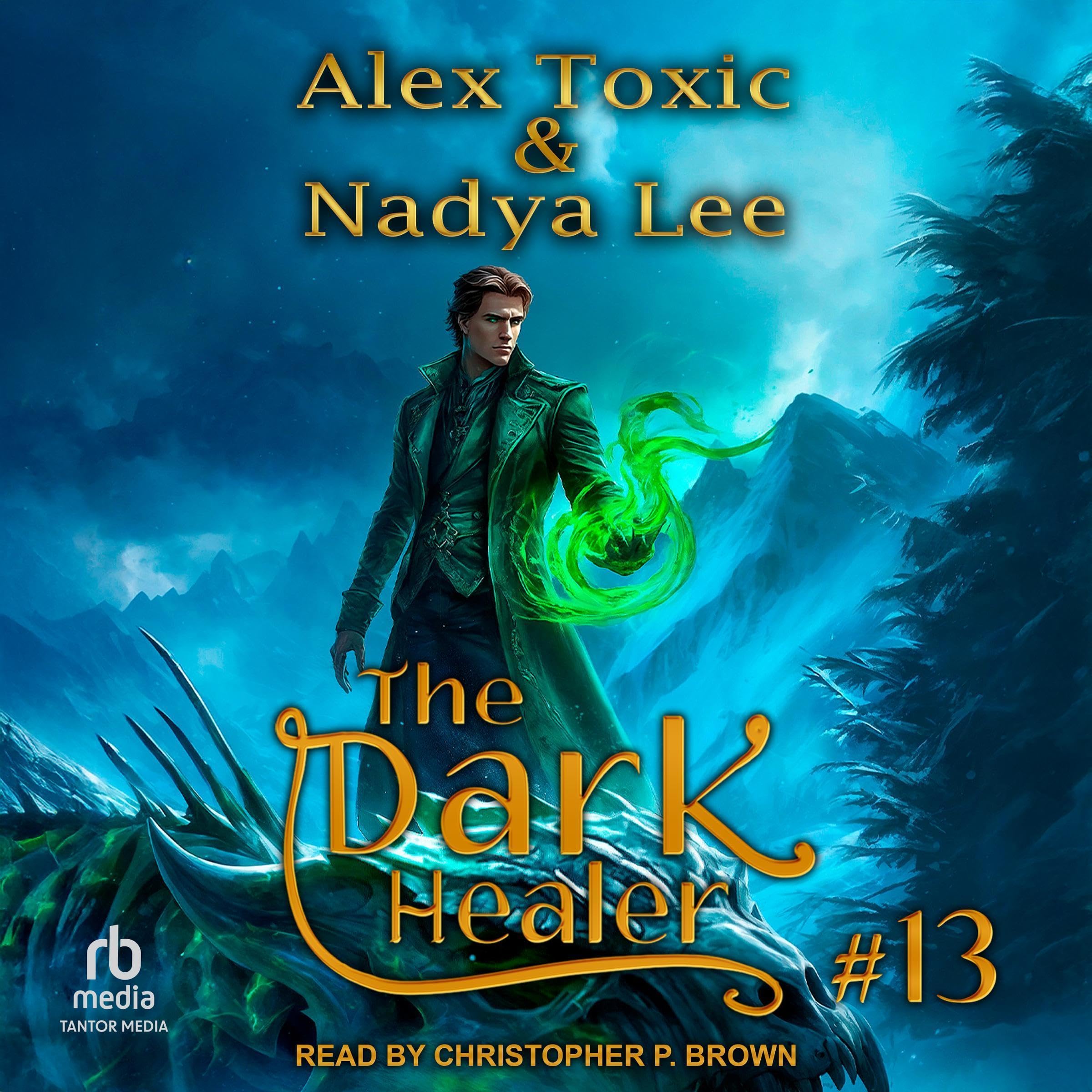 Cover art for The Dark Healer, Book 13