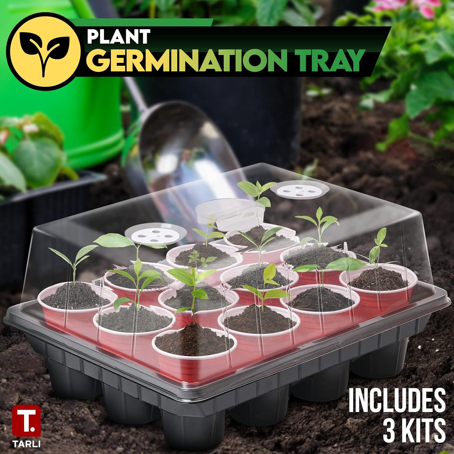 Tarli Germination Tray Uses Standard Plastic Cups - Great for All Plants and Easy to Remove and Transition from Box to Direct Sun (10 Pack) : Patio, Lawn & Garden
