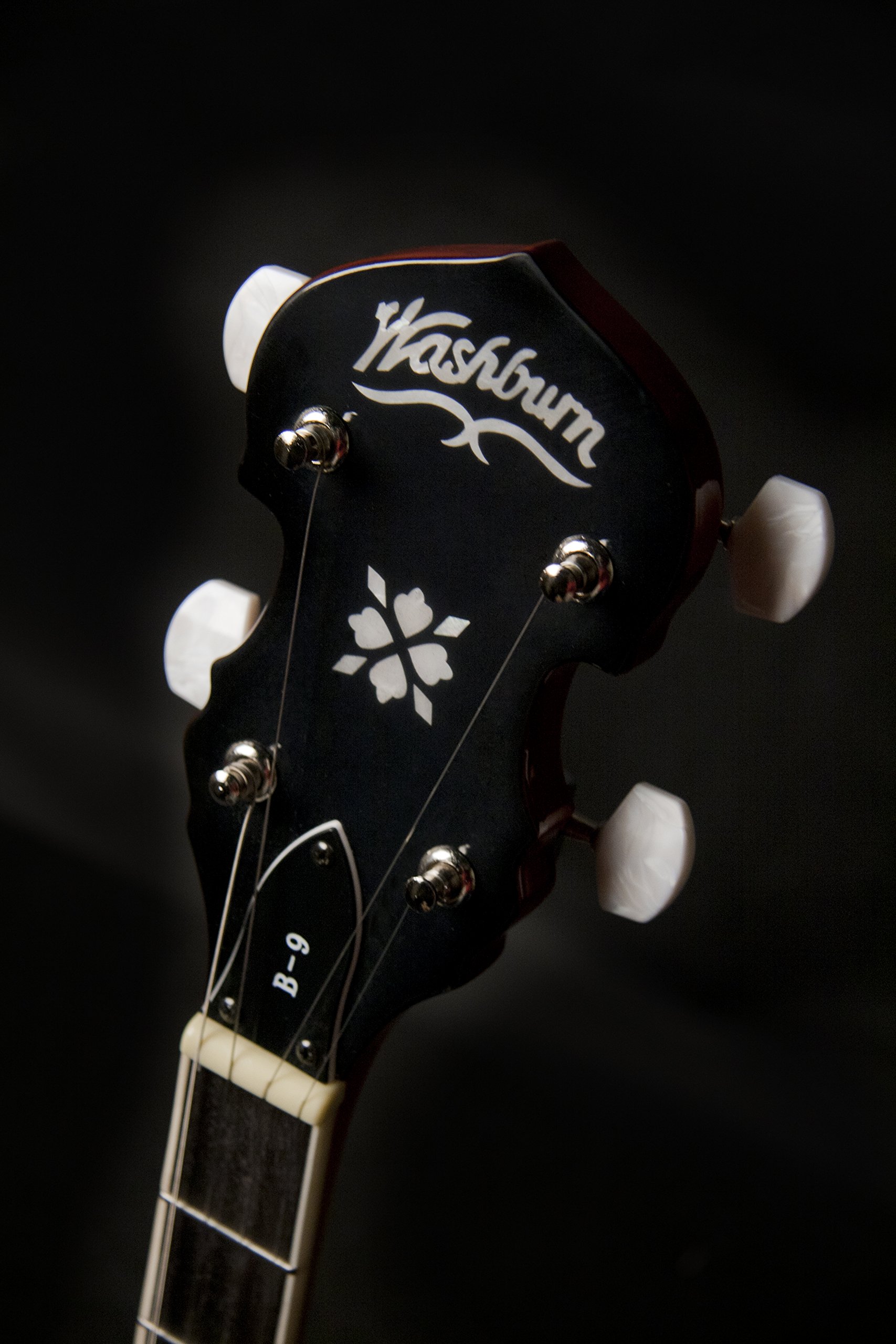 バンジョー washburn B-9 Amazon.co.jp: Washburn B9 Banjo : 楽器・音響機器