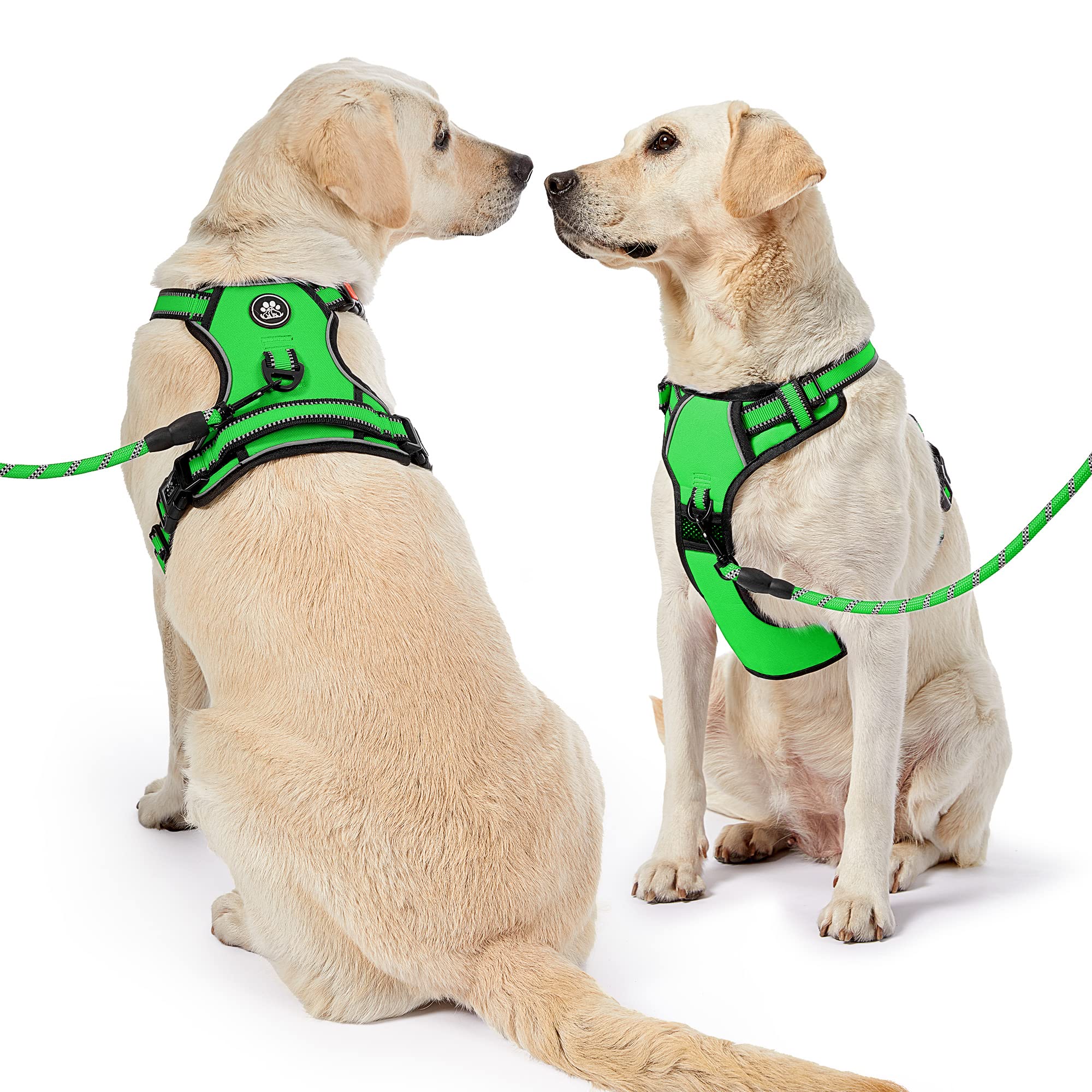 NESTROAD Green Dog Harness, No Pull Puppy Dog Car Vest Harness and Lead Set - Image 2