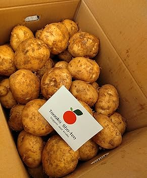 Amazon.co.jp: 九州産 新じゃがいも・じゃがいも 1ケース 約10kg Amazon.co.jp: 九州産 新じゃがいも・じゃがいも 1ケース 約10kg