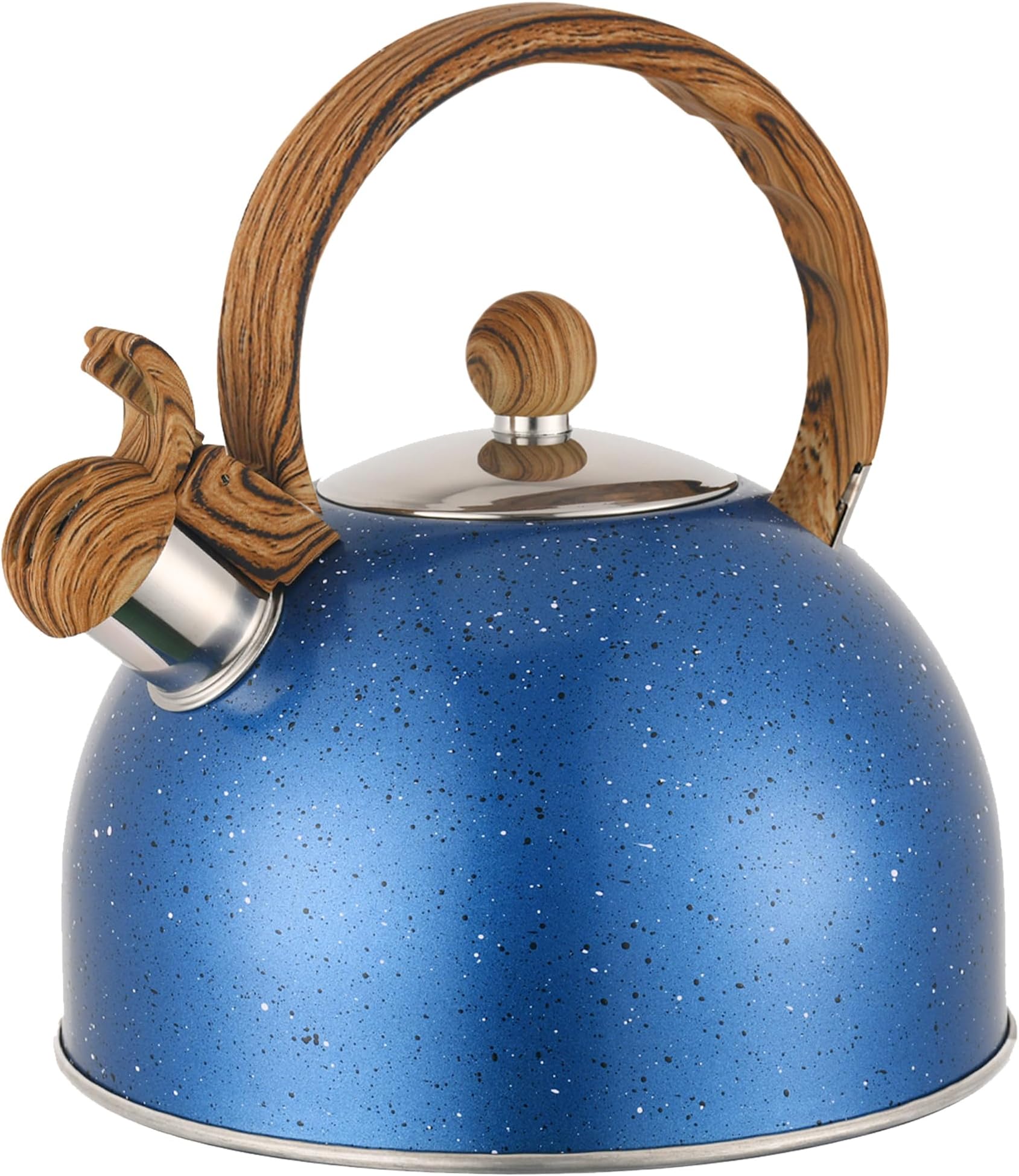 Stainless Steel Whistling Tea Kettle 4L Tea Pot with Loud