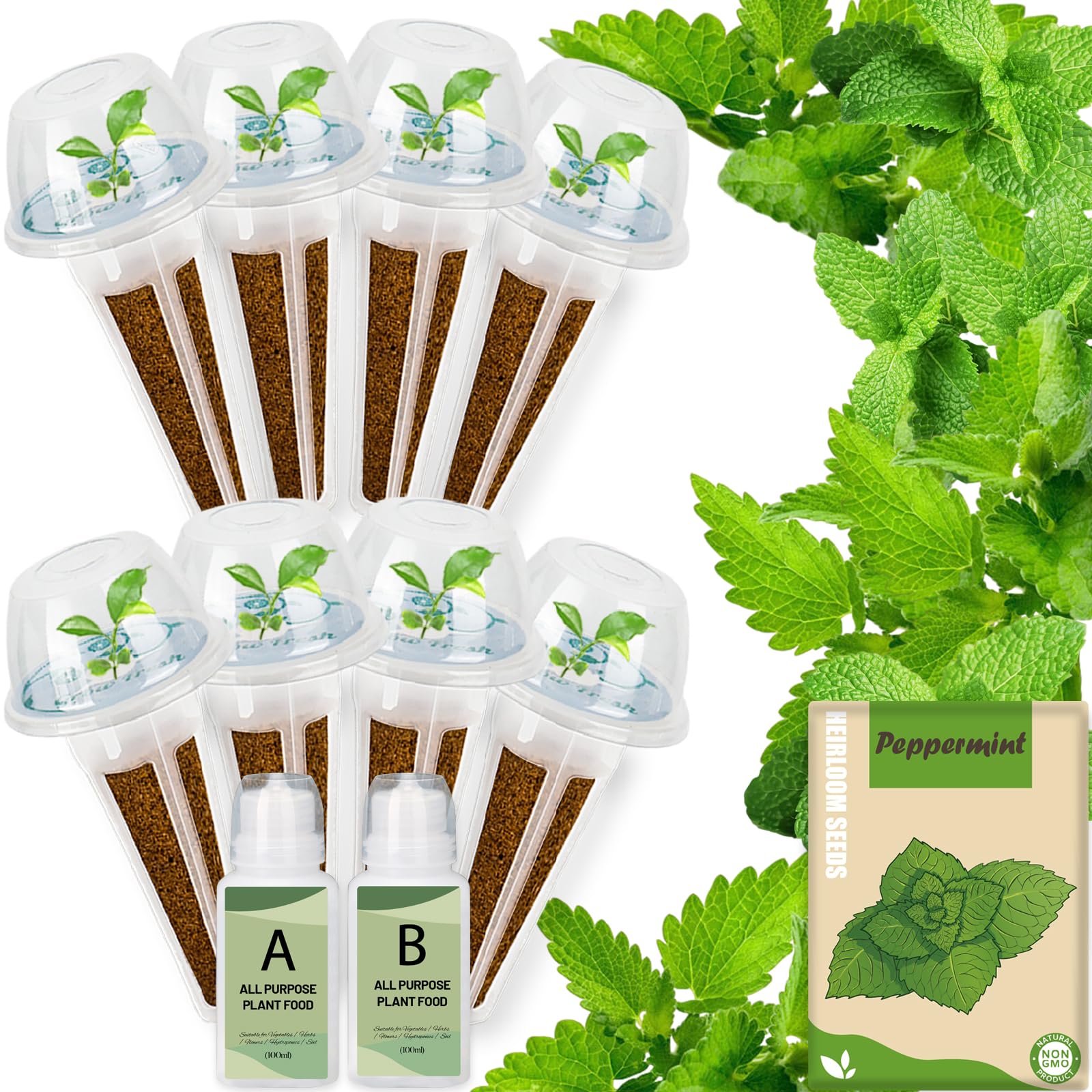 Kit de capsules de graines d'herbes hydroponiques – Recharge pour tous les jardins intérieurs, 8 capsules de culture avec graines de menthe poivrée, compatible avec tous les systèmes de culture