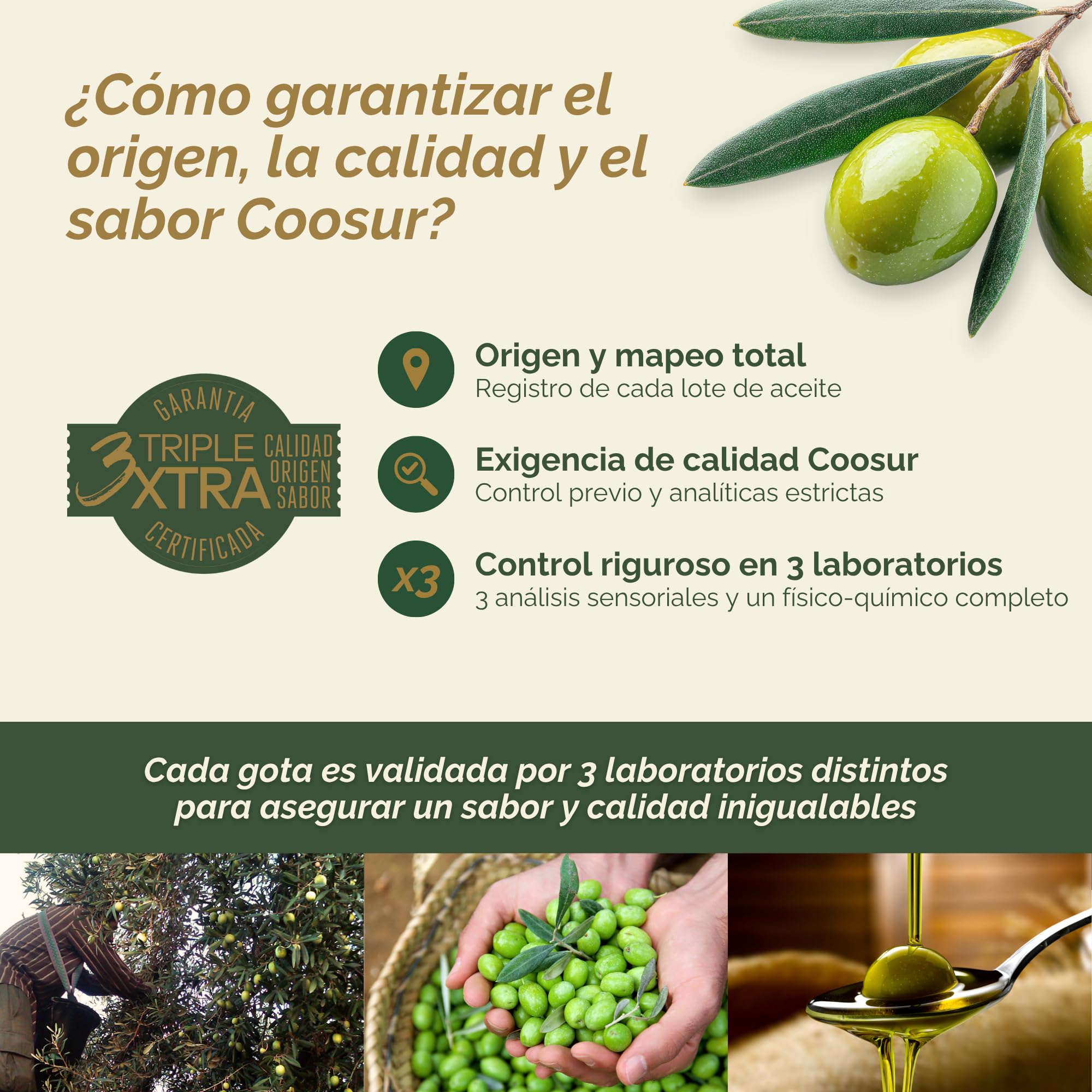 Coosur - Aceite de Oliva Virgen Extra Ecológico - 5L