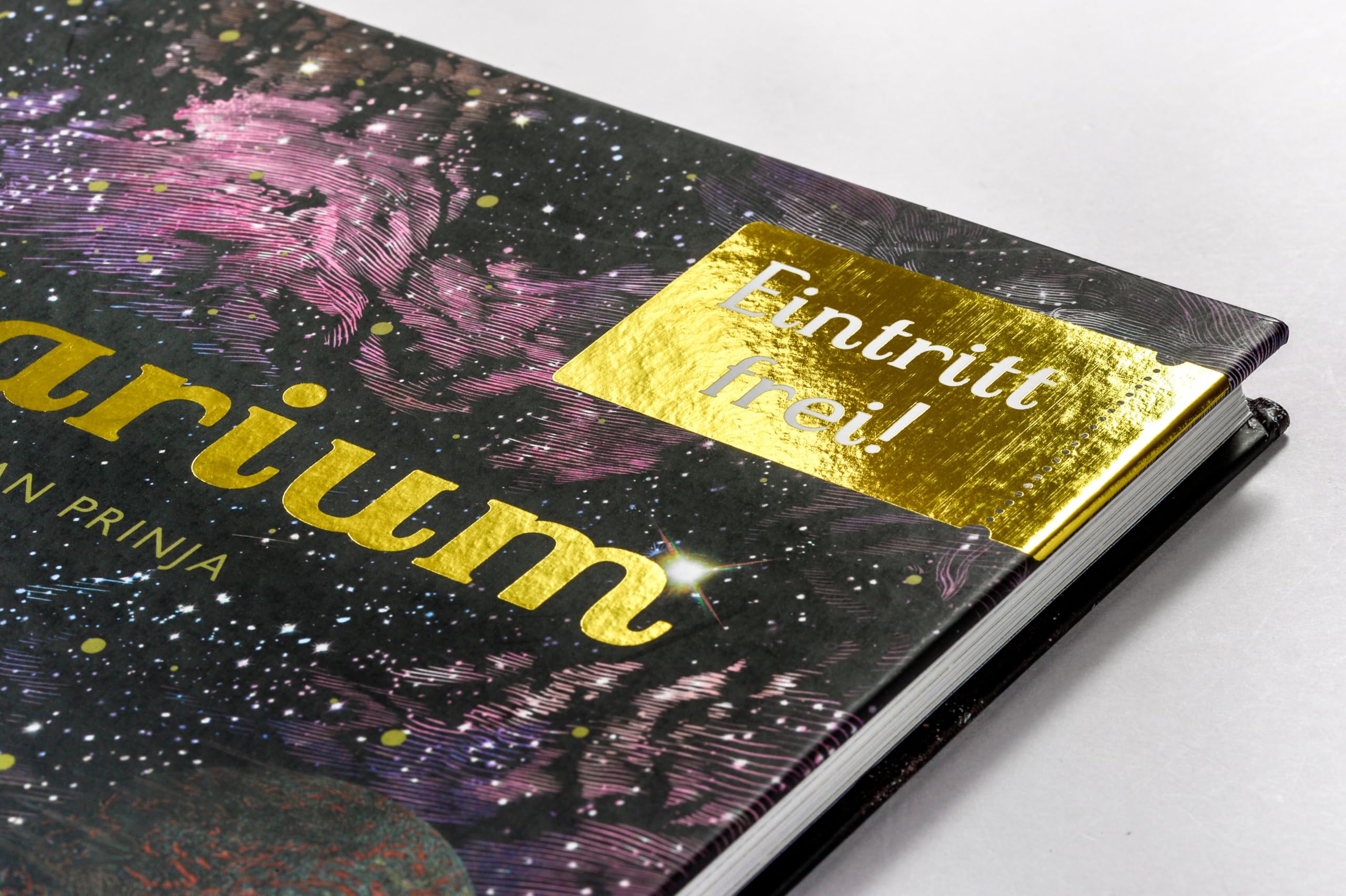 Das Planetarium: Sachbilderbuch im Großformat für Kinder ab 8 Jahren mit Illustrationen von Chris Wormell zu fernen Galaxien