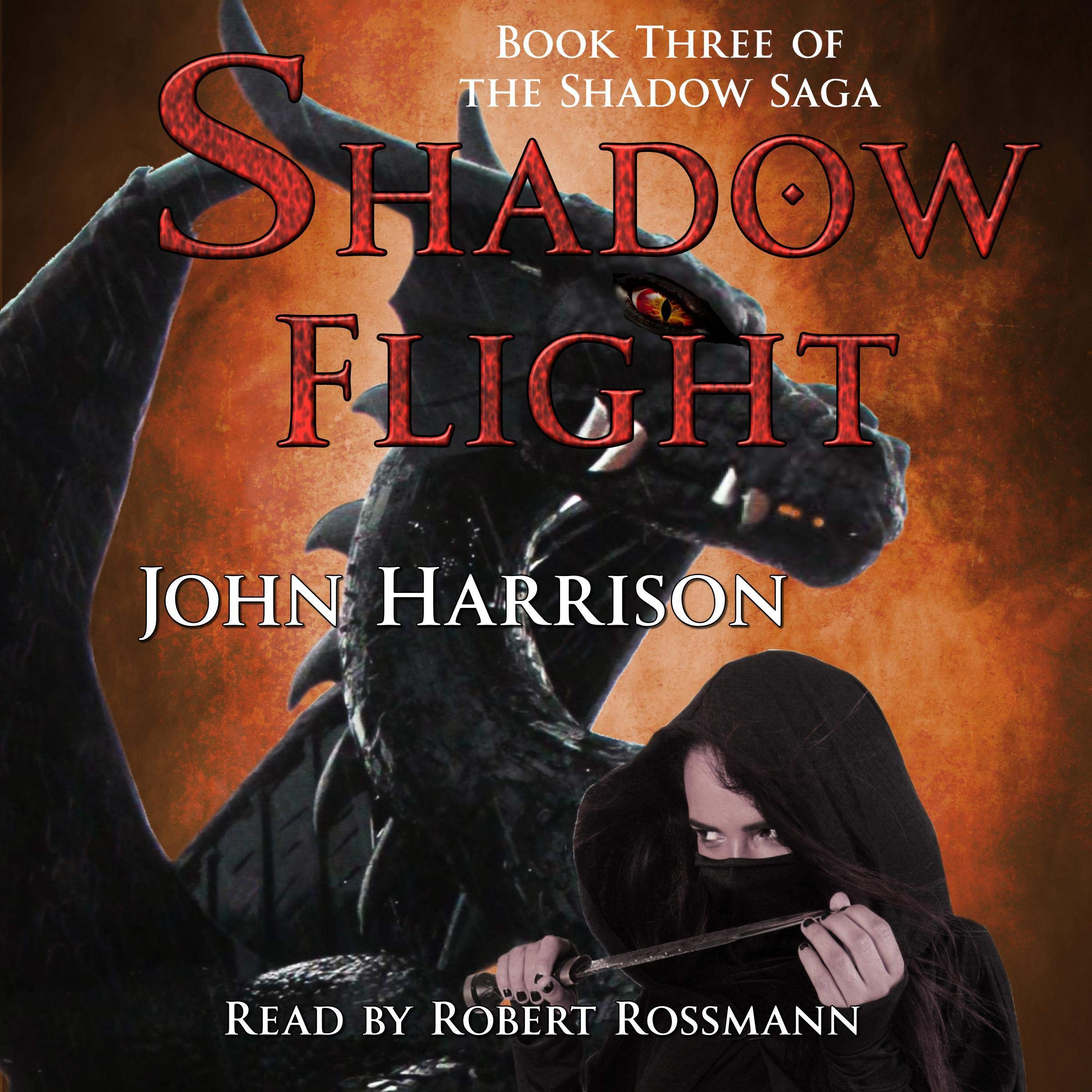 Cover art for Shadow Flight