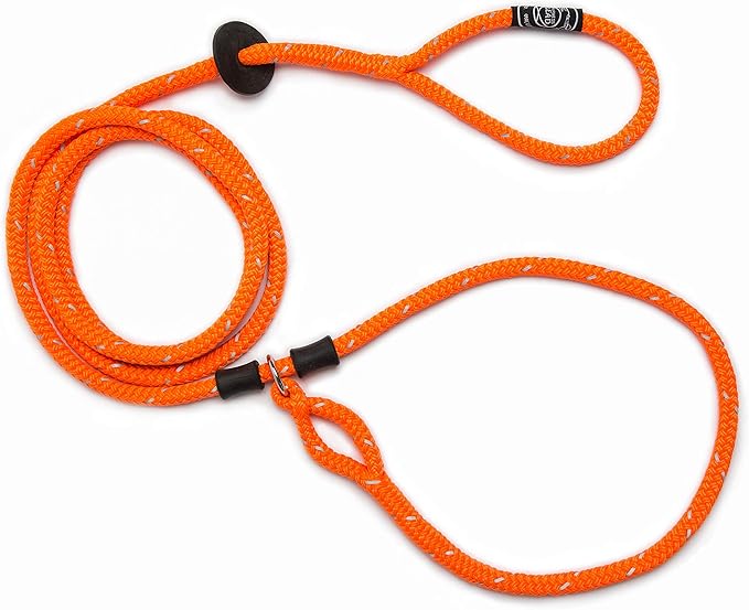 loop leads for dogs