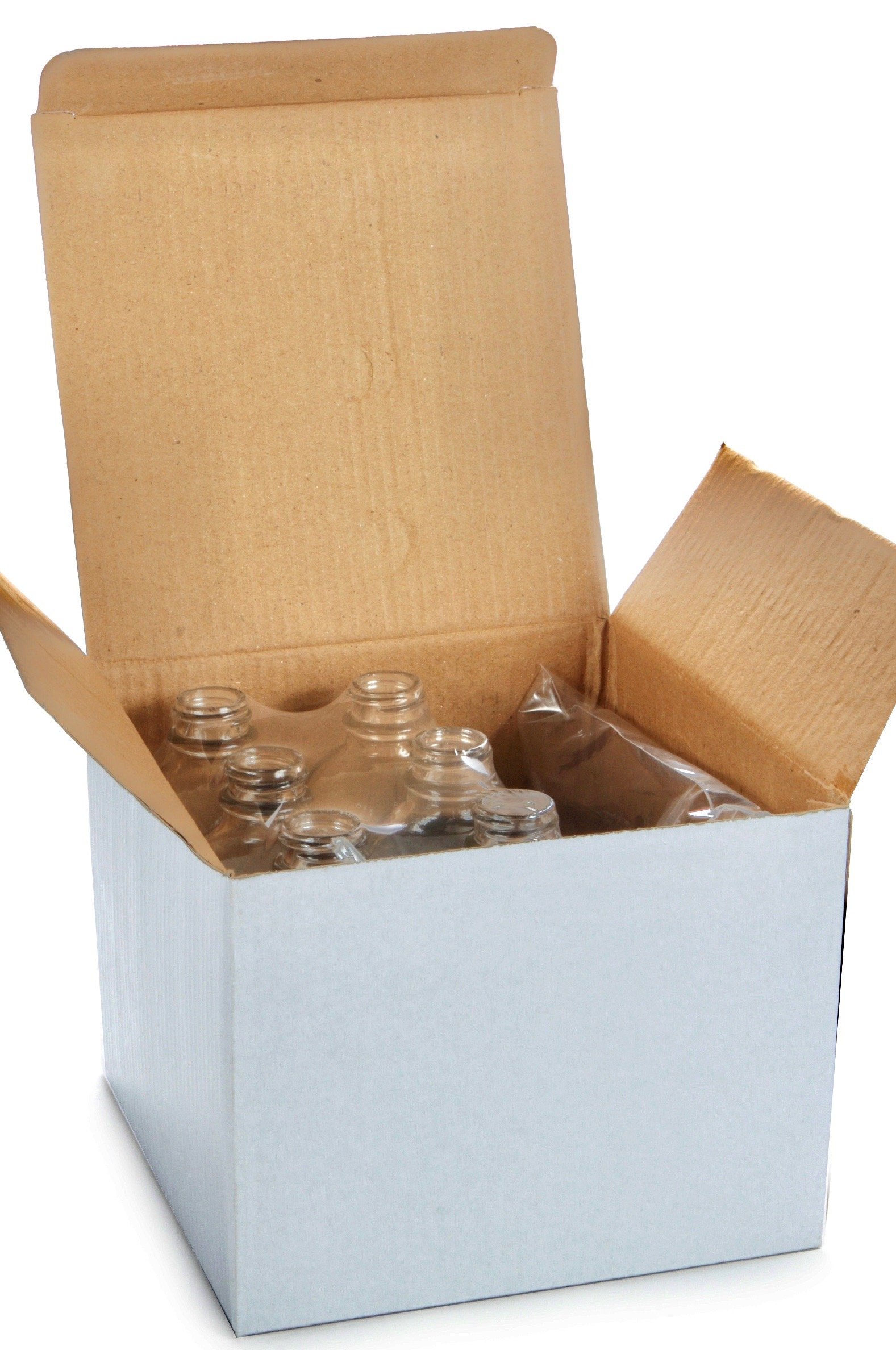 Vivaplex - VM4-6, 6, przezroczyste, 100 ml szklane butelki, z czarnym rozpylaczem drobnej mgły