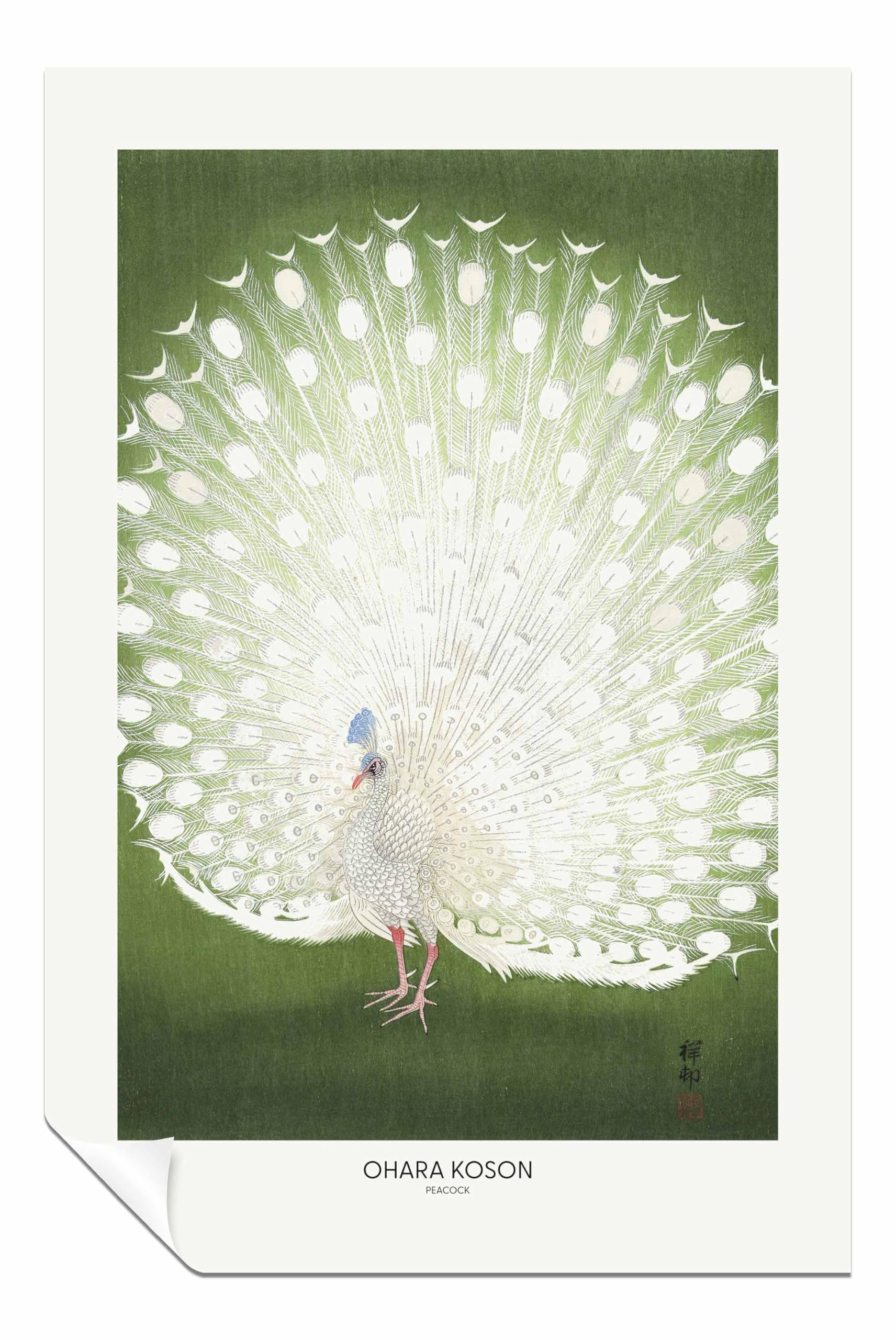 Panther Print Peacock Cropped Unframed Poster, Pictures for Home Walls, Bedroom, Living Room & Bathroom Decor 31x20cm (12x8in)
